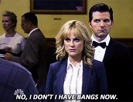 idr my parks and rec tag GIF