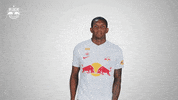 Football Sport GIF by FC Red Bull Salzburg