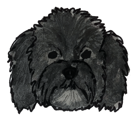 pw sivanayla Sticker