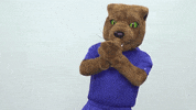 excited lets go GIF by Pitt Panthers