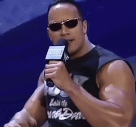 davidhills wwe wwf the rock humble pie GIF