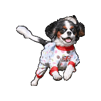 Cavalierkingcharlesspaniel Sticker