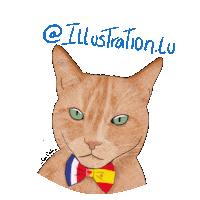 Cat Sticker