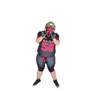 Neu Ulm Football Sticker by neu-ulm-spartans
