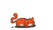 Gatos Sono Sticker