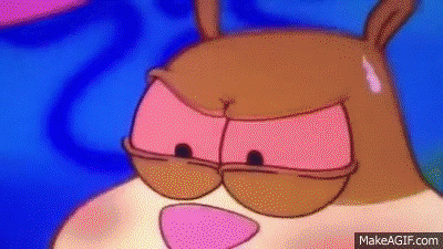 texas GIF