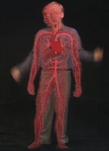 mortyolsen giphyupload heart blood body GIF