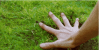 hand shaking GIF by Charles Pieper