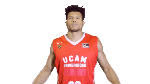 Liga Endesa Basketball Sticker by ACB