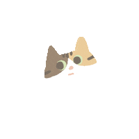 Cat Sticker
