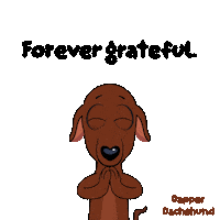 Dog Thank You Sticker by VeeFriends