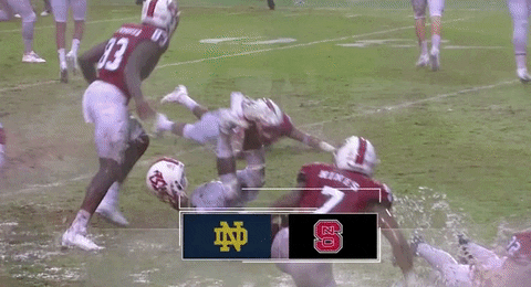 nc state ncaa GIF by ESPN College Football