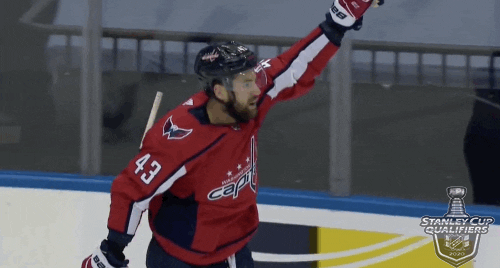 Ice Hockey Sport GIF by NHL
