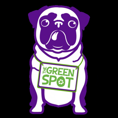 TheGreenSpot puppy pug shoplocal doglover GIF