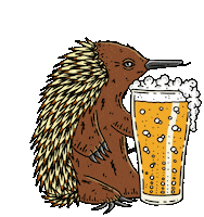 Dont Sticker by Barney Cools