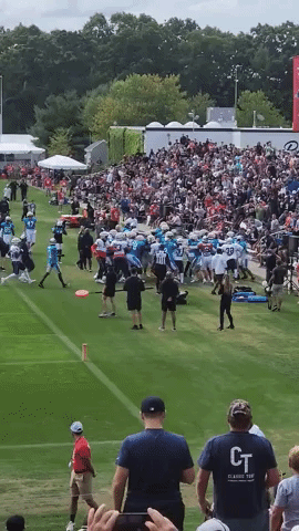 Brawl Breaks Out at Panthers-Patriots Football Practice in Massachusetts