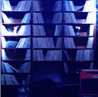 door tell GIF