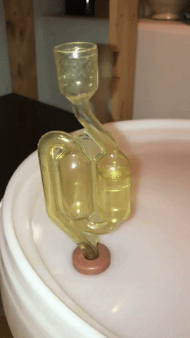 henrikrossini giphygifmaker GIF