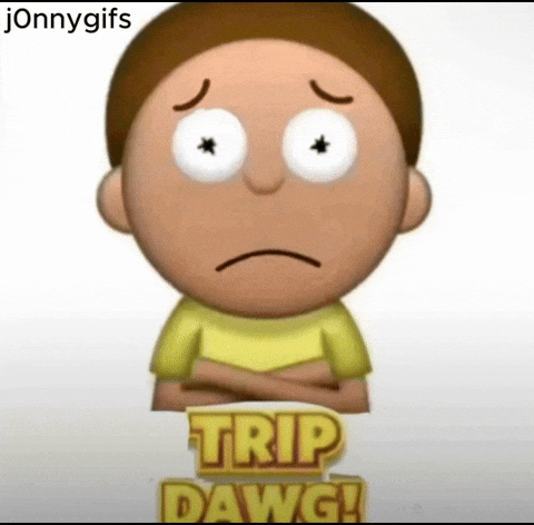 Dont Even Trip Dawg GIF