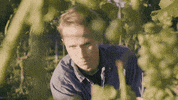 astadvingard wine farmer harvest grapes GIF