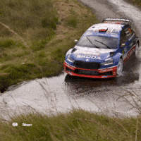Motorsport Rallying GIF by FIA European Rally Championship