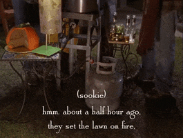 season 3 netflix GIF by Gilmore Girls 