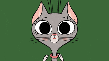 ZipZipOfficial cat what omg shocked GIF