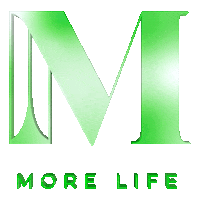 Morelifeentertainment party happy birthday life bday Sticker