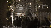 Nikki Deloach Love GIF by Hallmark Mystery