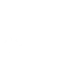 Color Paint Sticker by Collonil