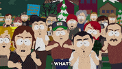 wrestling crowd GIF by South Park 