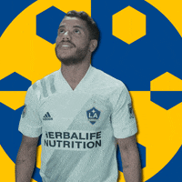 Los Angeles La GIF by Major League Soccer