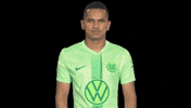 Bundesliga No GIF by VfL Wolfsburg