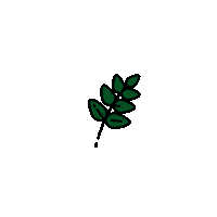 lifecandleco fall autumn plants leaves Sticker
