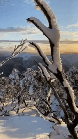 Australian Ski Resort Treated to Snow-Drenched Sunset After Cold Front Sweeps Through Alpine Regions