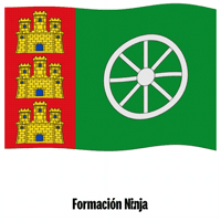 Castilla Y Leon Bandera GIF by Formación Ninja