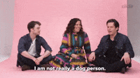 Not A Dog Person