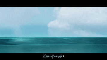Tubarao GIF by Beauty In