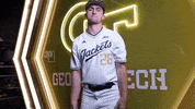 Georgia Tech Baseball GIF by Georgia Tech Yellow Jackets