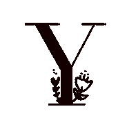 Abc Alphabet Sticker