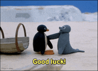 Celebration Good Luck GIF by Pingu