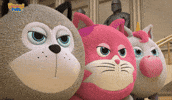 Angry Cat GIF by HangryPetz