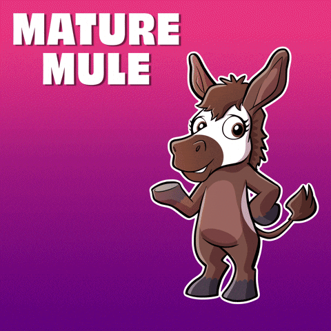 Adjust Go With The Flow GIF by VeeFriends