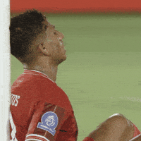 Santos GIF by Persisofficial