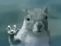 Dog Fly GIF