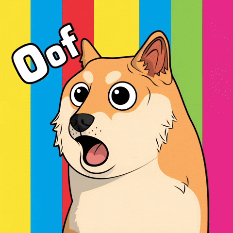 Shiba Inu Wow GIF by Doge Pound