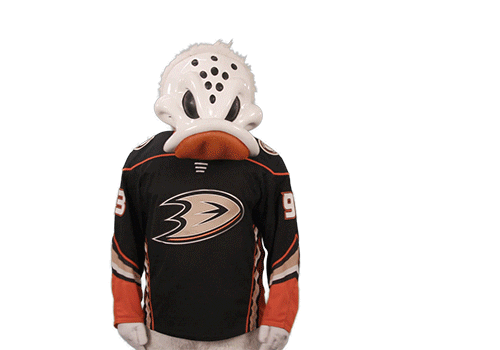 Ice Hockey Whatever Sticker by NHL