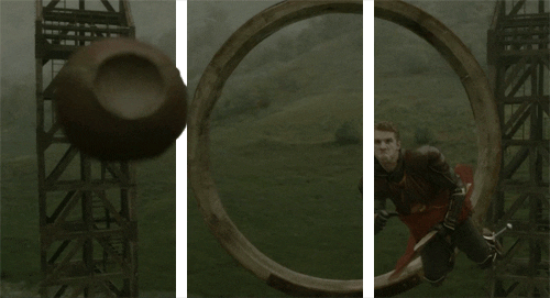quidditch GIF