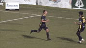 South Carolina Soccer GIF by Charleston Battery