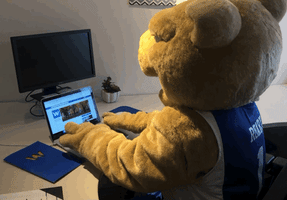 college mascot GIF by Wheaton College (MA)